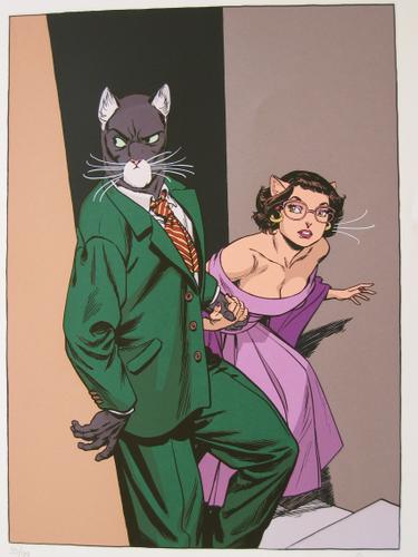 affiche blacksad qubec en couleur